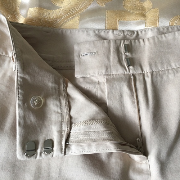 Ann Taylor Beige Pants - Picture 6 of 8